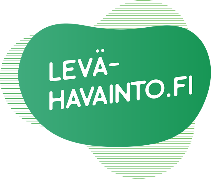Levähavainto
